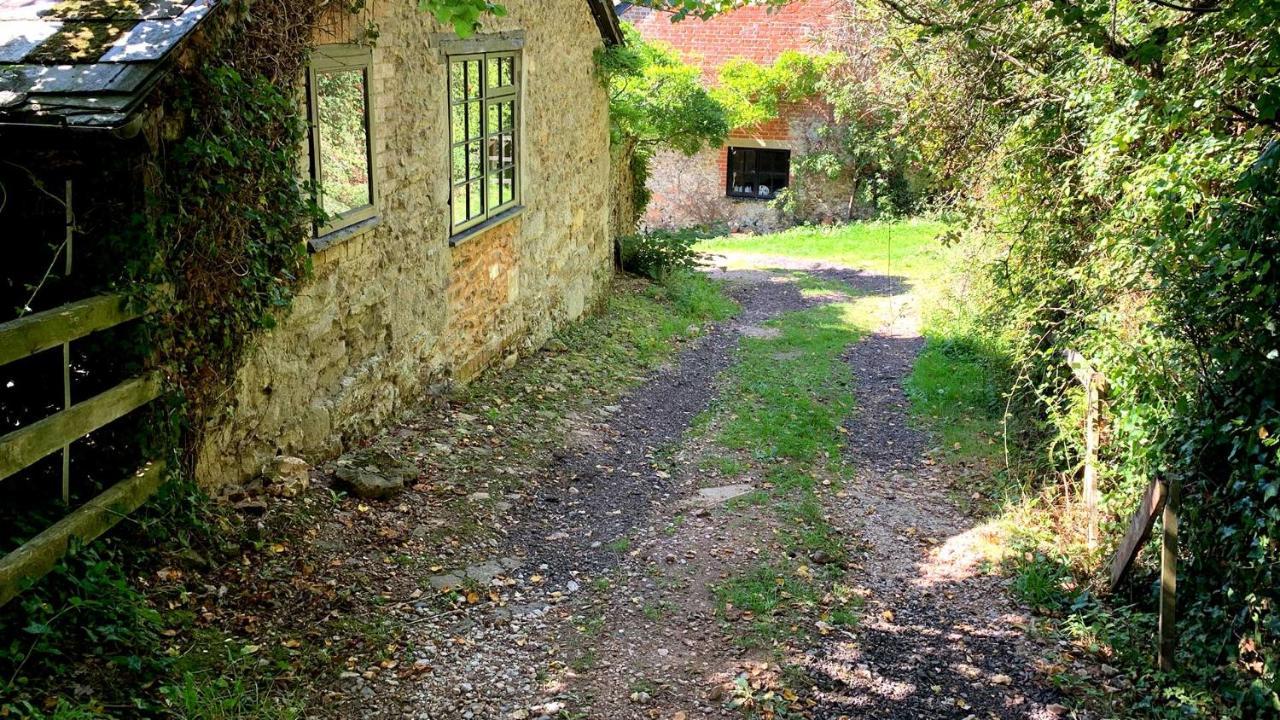 Shippen Cottage - Perfect For Couples Or Families 시드머스 외부 사진